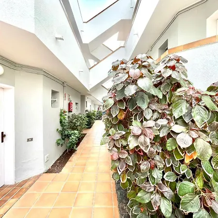 One Bedroom, Pool, Wifi, 600m Cristianos Apartment *