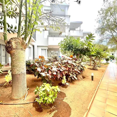 One Bedroom, Pool, Wifi, 600m Cristianos Apartment *